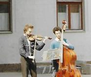 fiddle and bass players