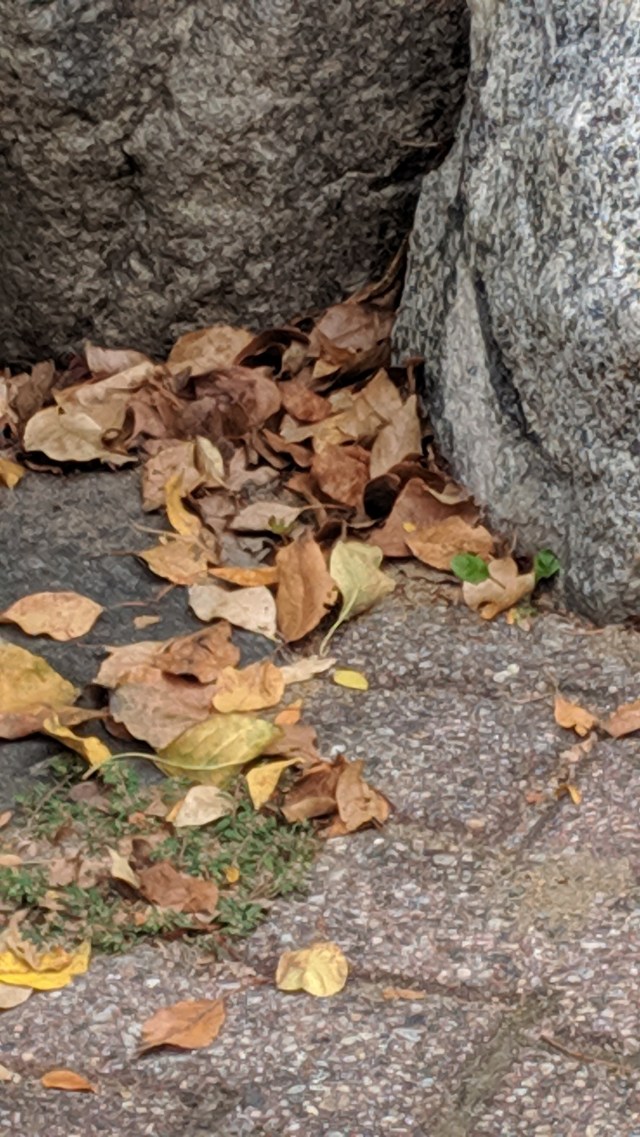 img_20190923_122721-1