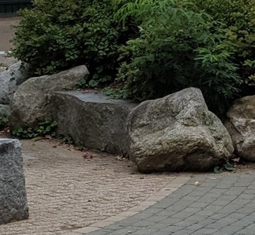 img_20190930_1706283